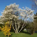 Сasa de vacaciones L'hirondelle - La Cipiere Peyzac-le-Moustier